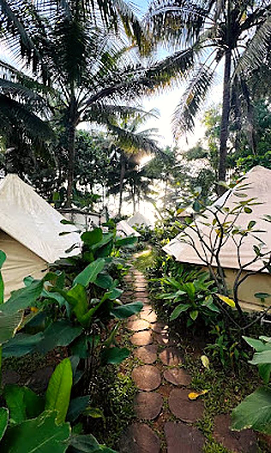 A stone path through the garden to the tents