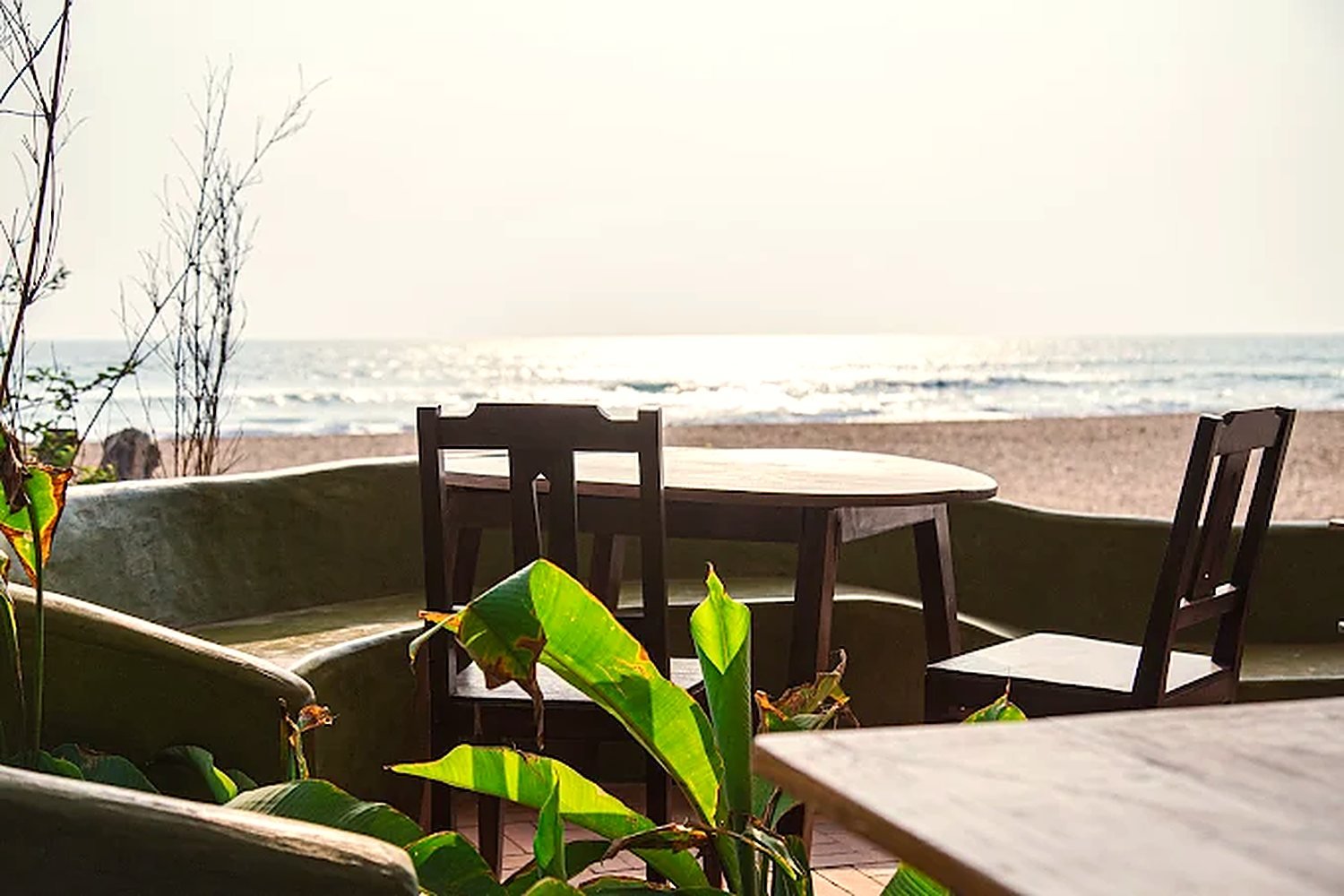 A table set against the sea, with plants and green plaster benches